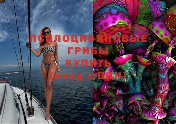 ГАЛЛЮЦИНОГЕННЫЕ ГРИБЫ Алексин
