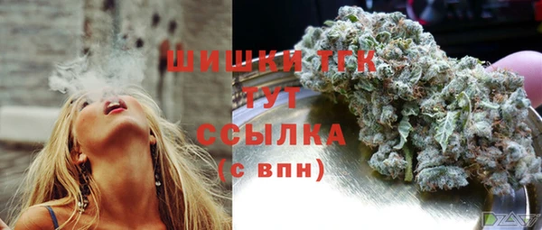ГАЛЛЮЦИНОГЕННЫЕ ГРИБЫ Алексин